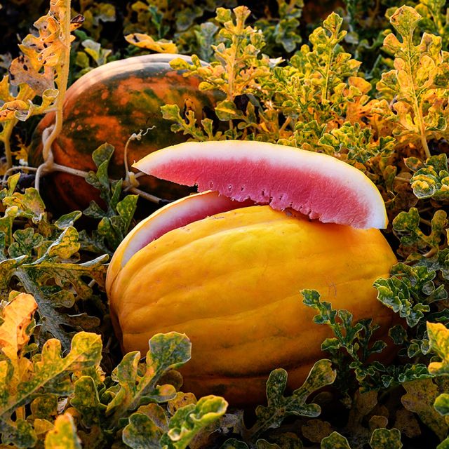 Organic Fruits